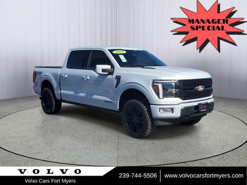 2025 Ford F-150 Platinum LEATHER ROOF NAV 1 OWNER