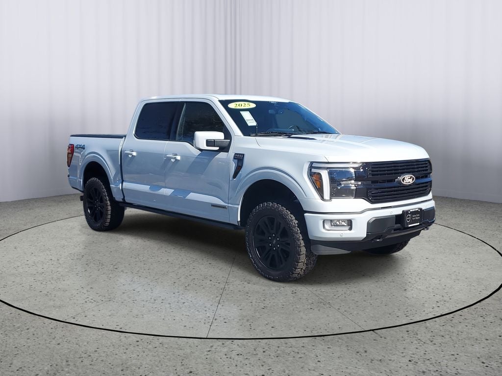 2025 Ford F-150 Platinum LEATHER ROOF NAV 1 OWNER